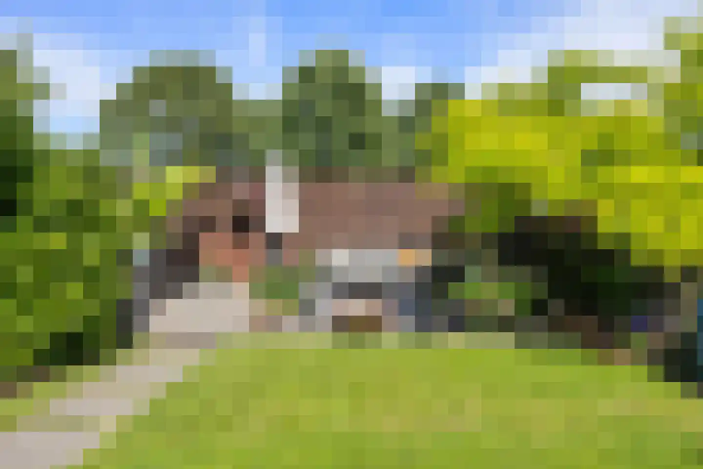Kloosterstraat 24 Nieuwkuijk thumbnail 42