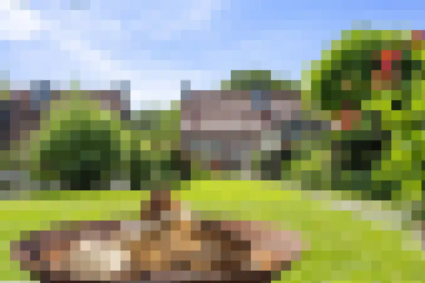Kloosterstraat 24 Nieuwkuijk thumbnail 48