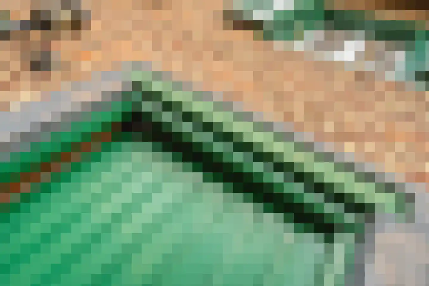 Kloosterstraat 25 Holtum thumbnail 31