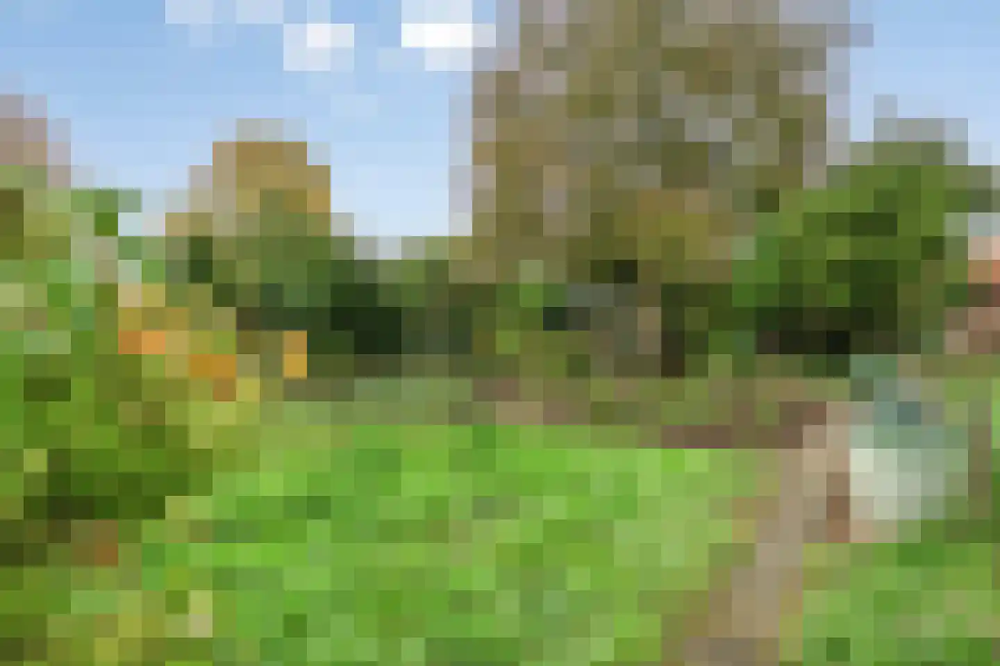 Kloosterstraat 25 Holtum thumbnail 39