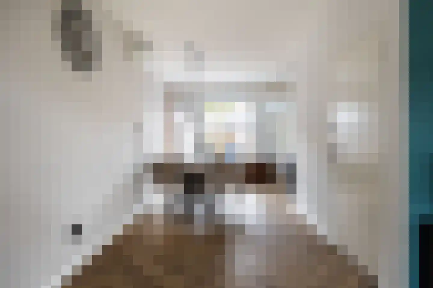 Kloosterstraat 25 Ten Boer thumbnail 17