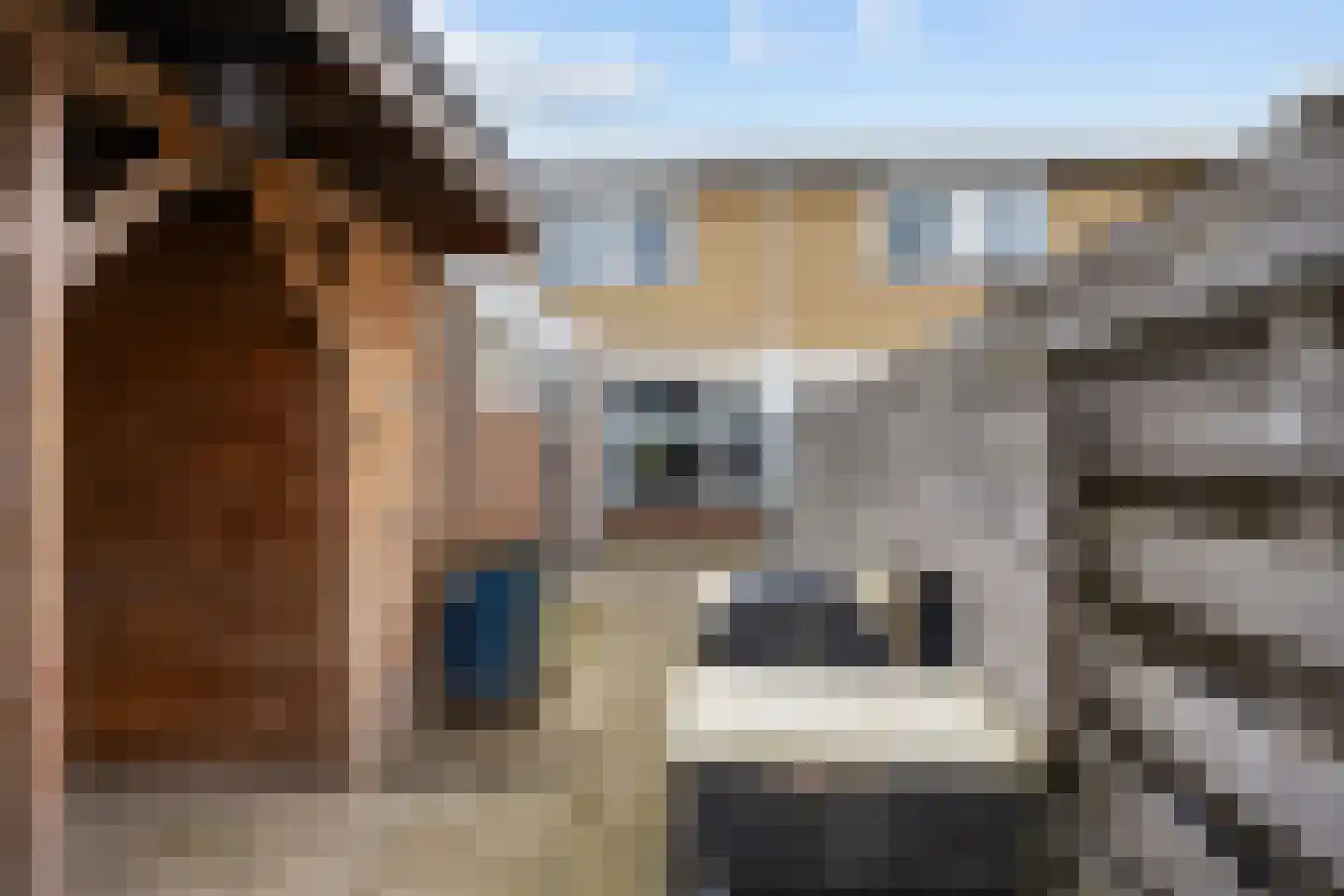 Kloosterstraat 25 Ten Boer thumbnail 43