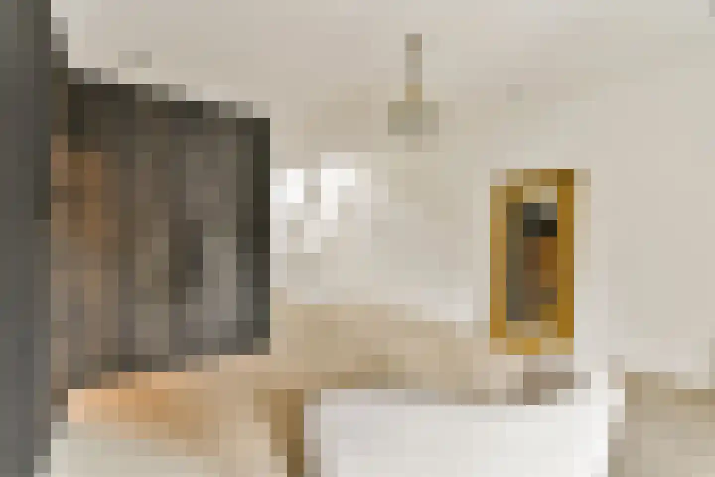 Kloosterstraat 27 Duivendrecht thumbnail 25