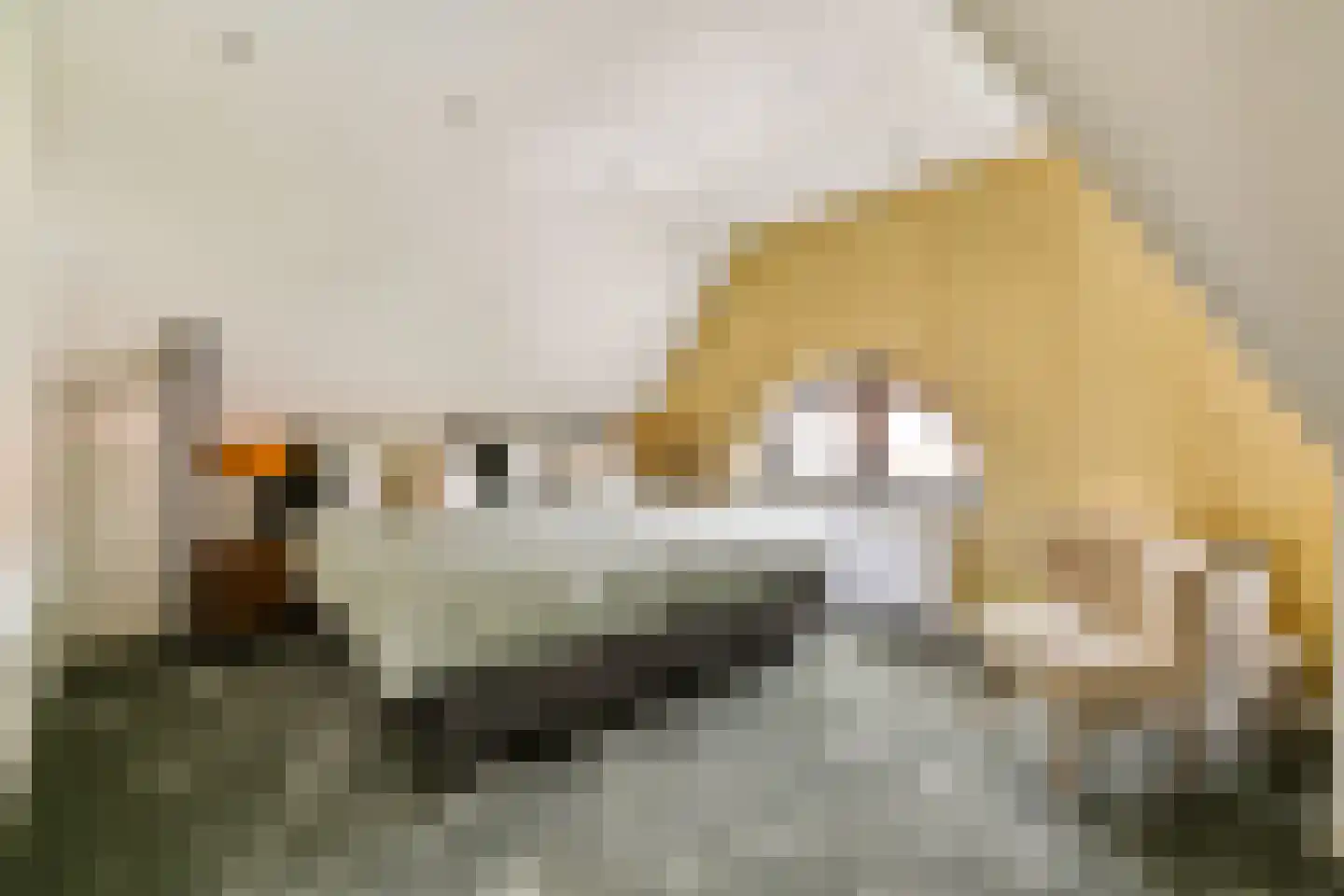 Kloosterstraat 27 Duivendrecht thumbnail 26