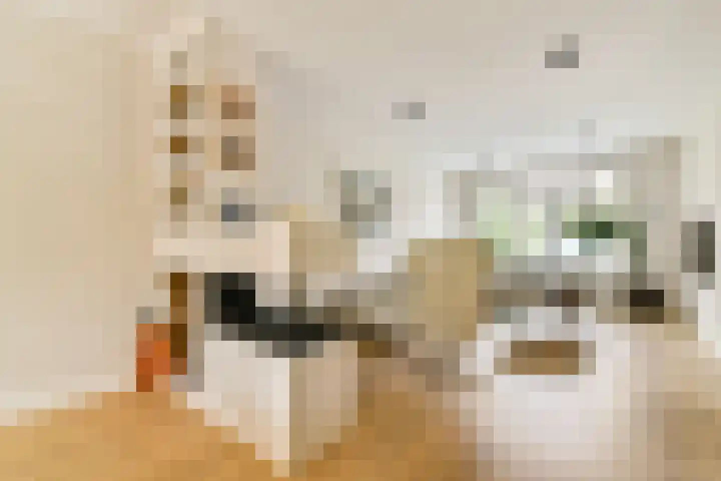 Kloosterstraat 27 Duivendrecht thumbnail 4