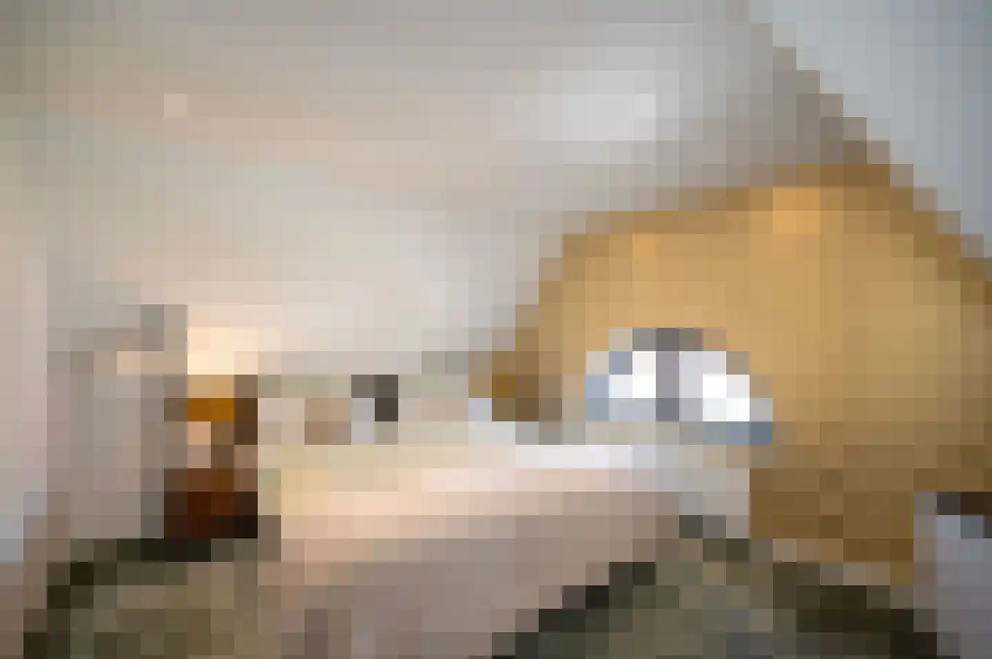 Kloosterstraat 27 Duivendrecht thumbnail 40