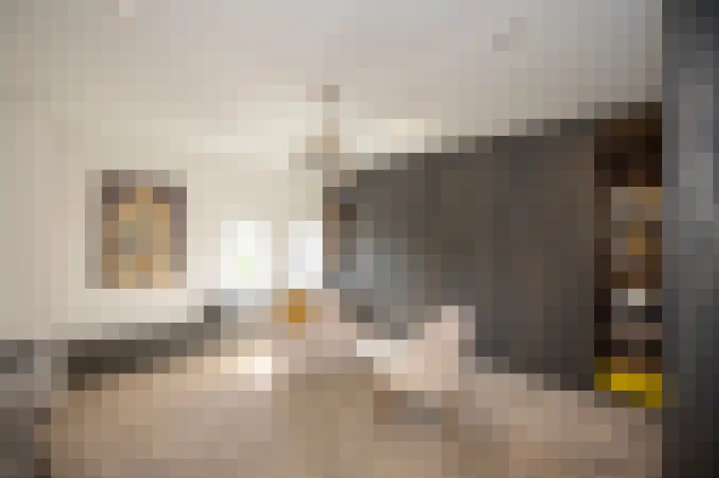 Kloosterstraat 27 Duivendrecht thumbnail 45