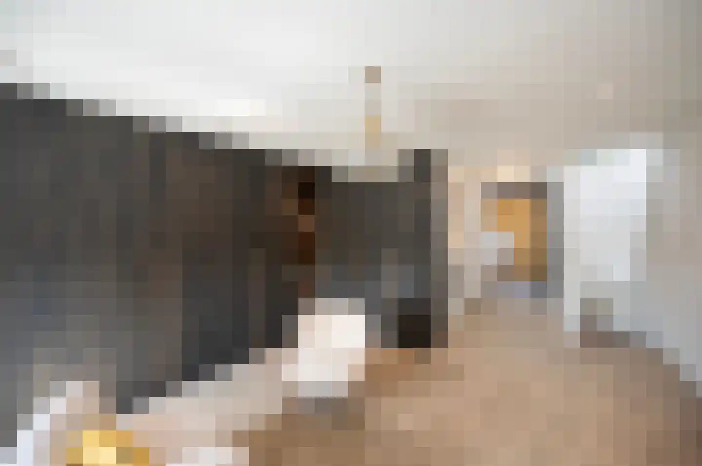 Kloosterstraat 27 Duivendrecht thumbnail 47