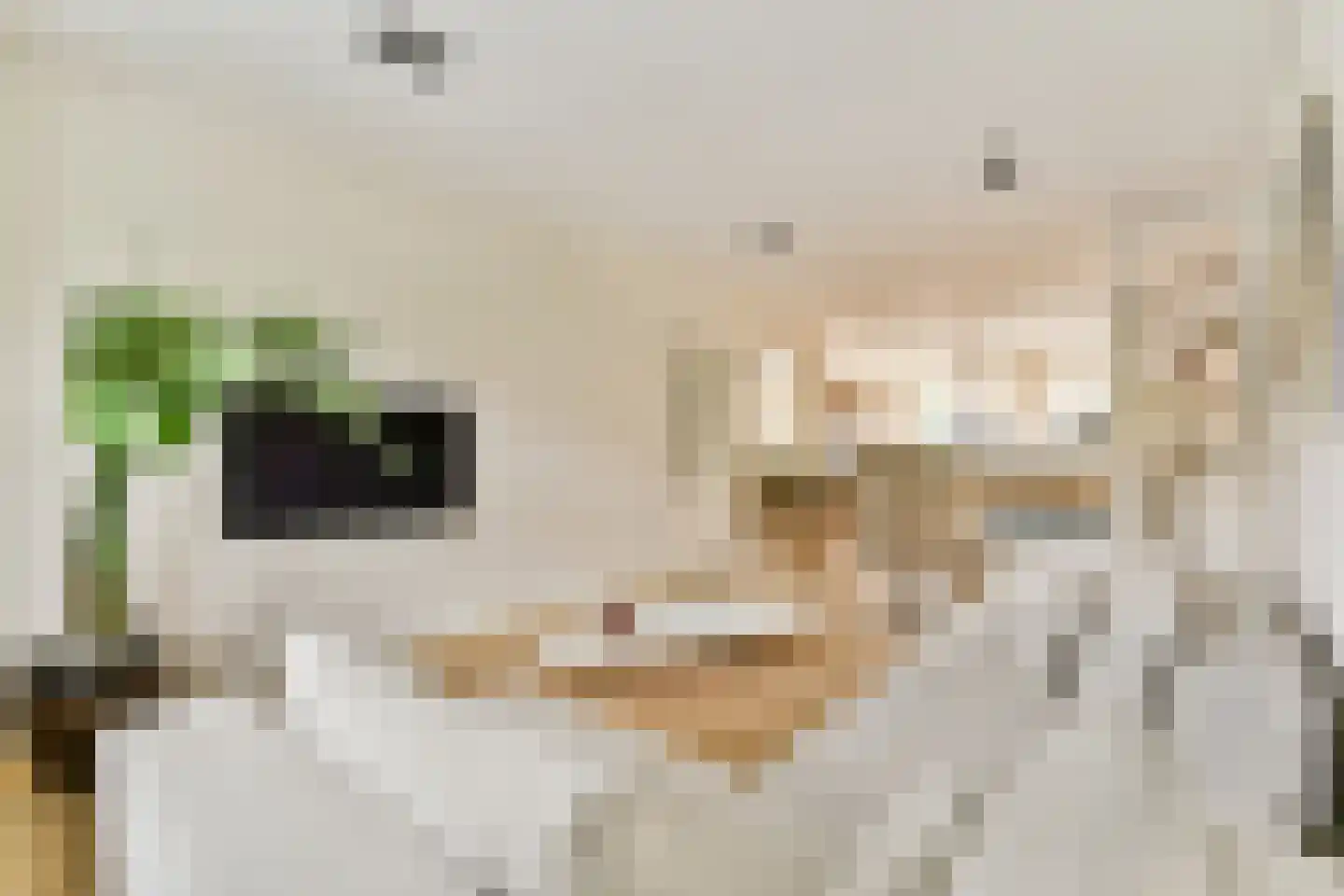 Kloosterstraat 27 Duivendrecht thumbnail 5