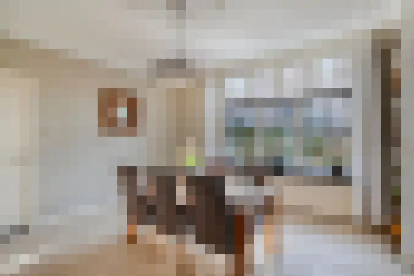 Kloosterstraat 27 Loon op Zand thumbnail 11