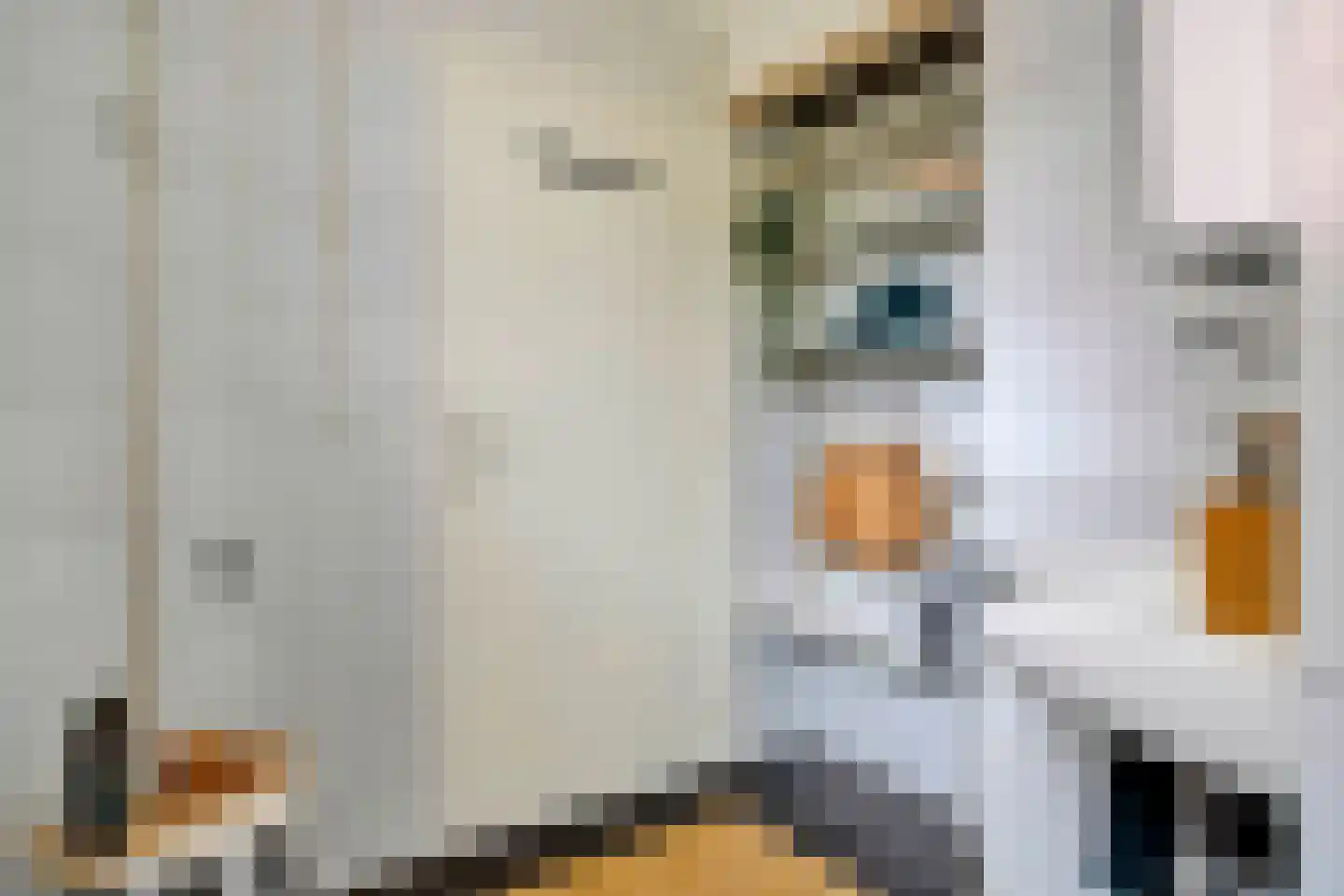 Kloosterstraat 29 Grubbenvorst thumbnail 14