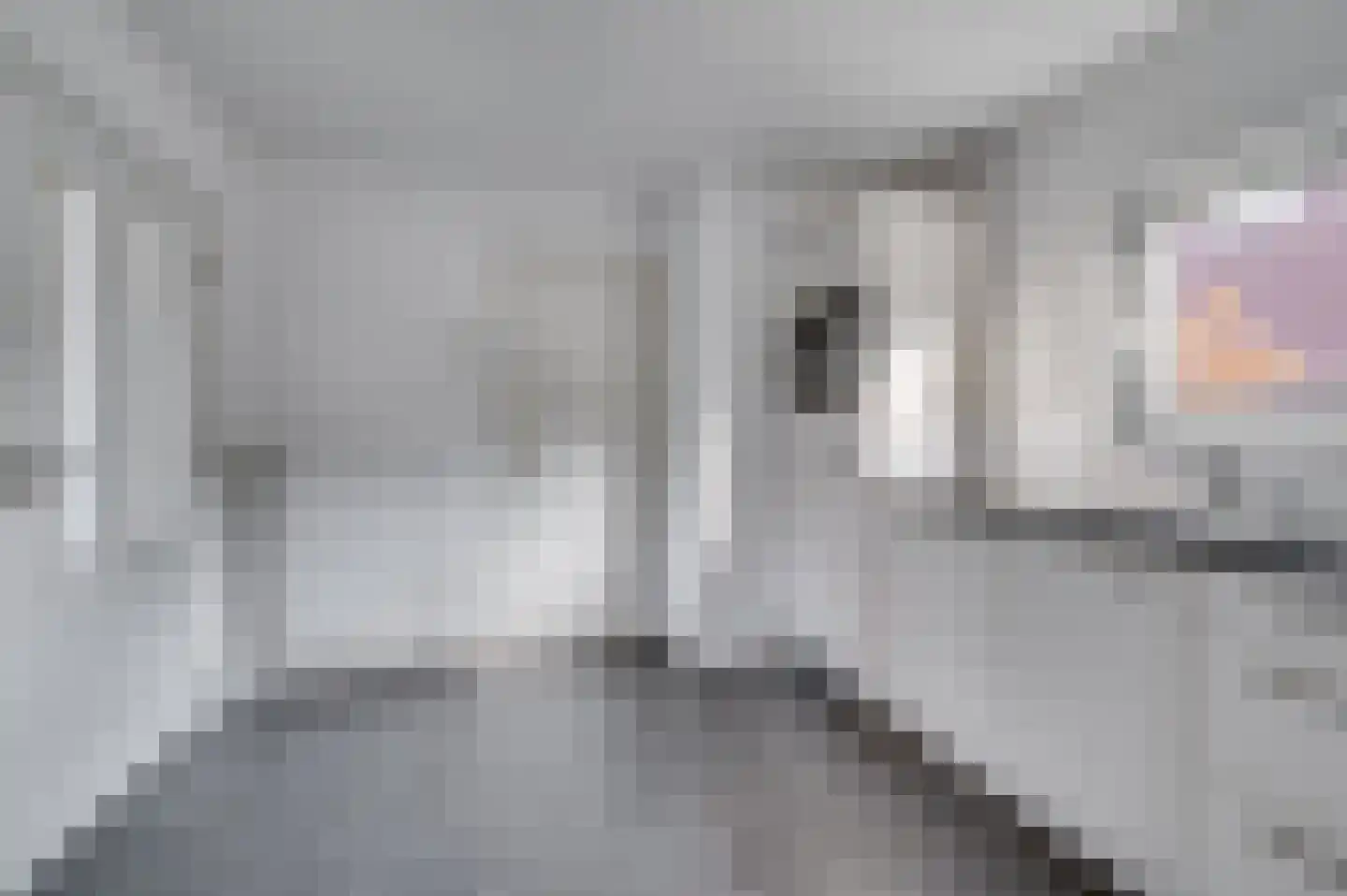 Kloosterstraat 29 Grubbenvorst thumbnail 15