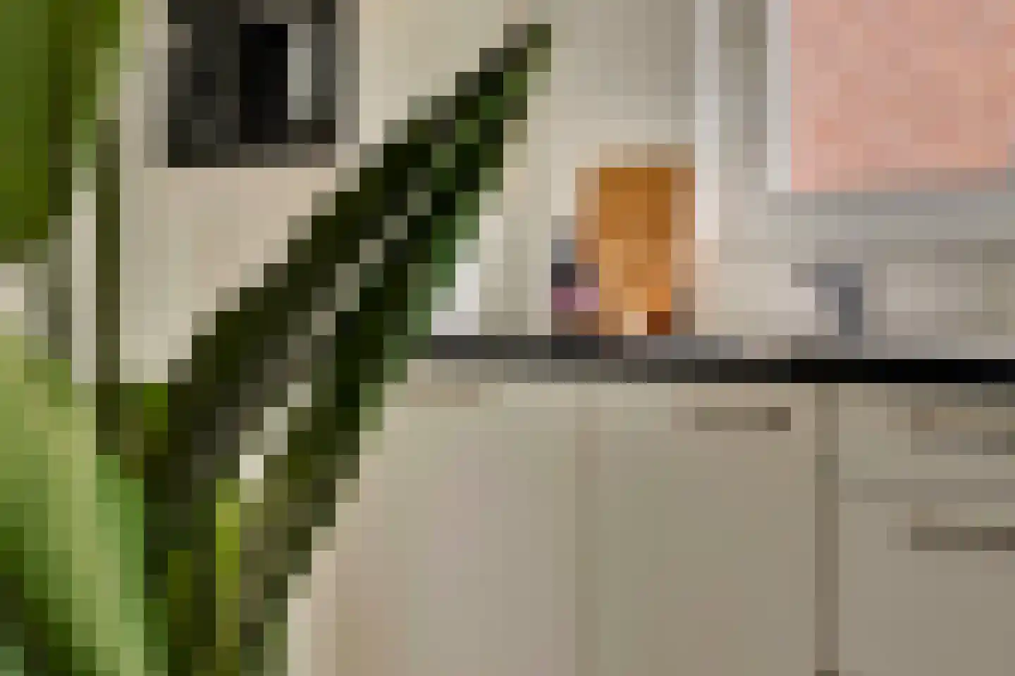 Kloosterstraat 29 Grubbenvorst thumbnail 17