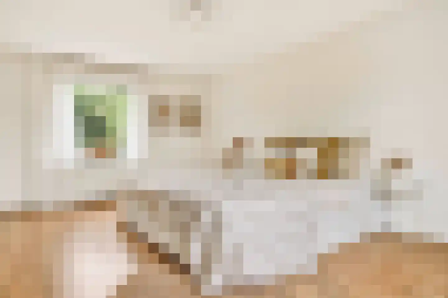 Kloosterstraat 29 Grubbenvorst thumbnail 22
