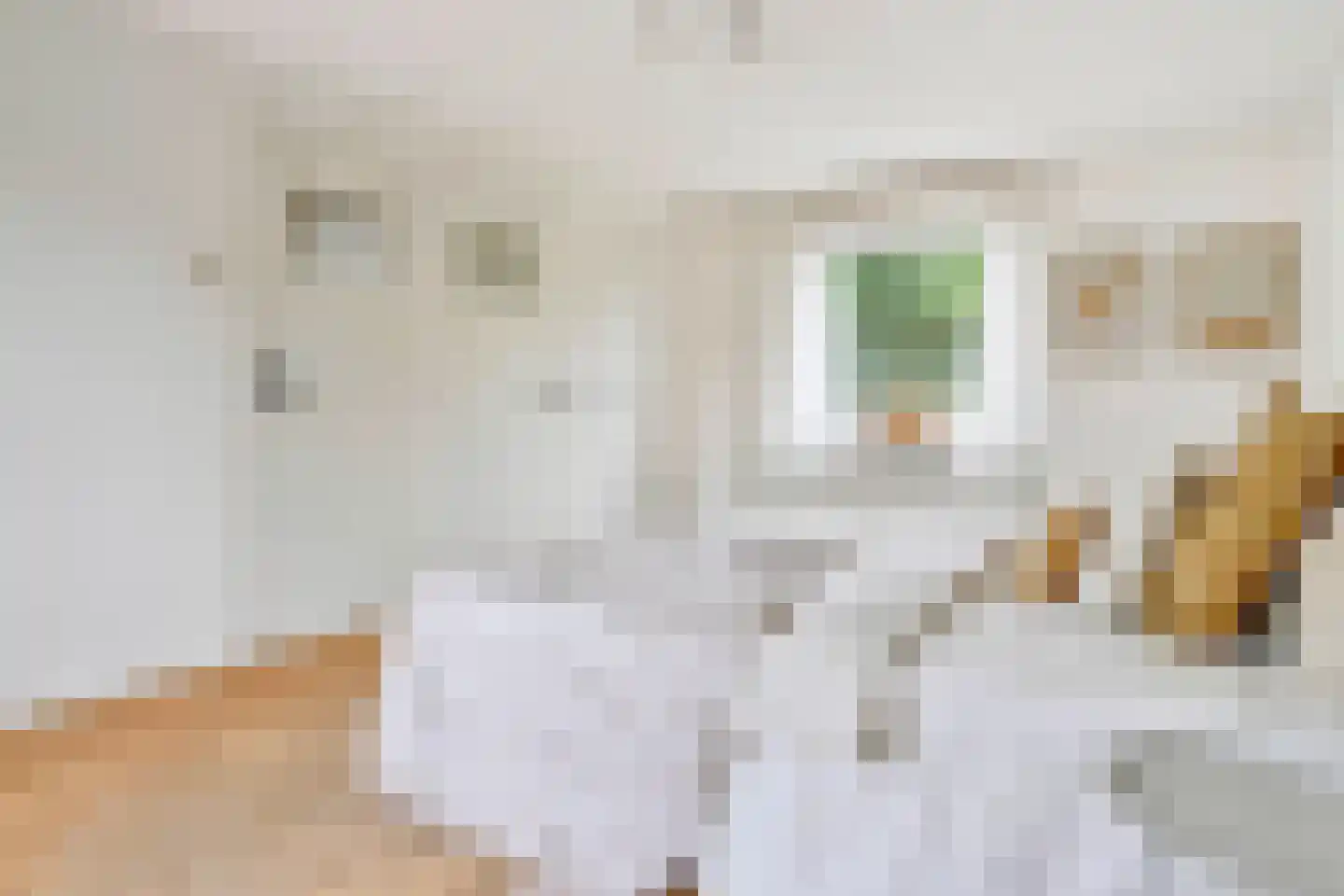 Kloosterstraat 29 Grubbenvorst thumbnail 23