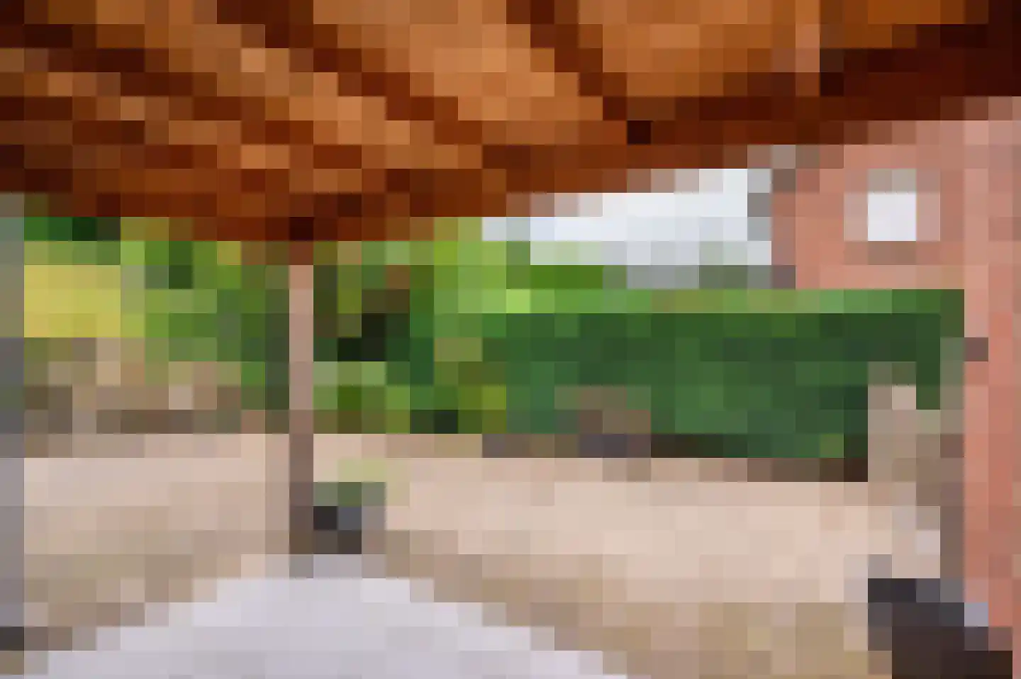 Kloosterstraat 29 Grubbenvorst thumbnail 32