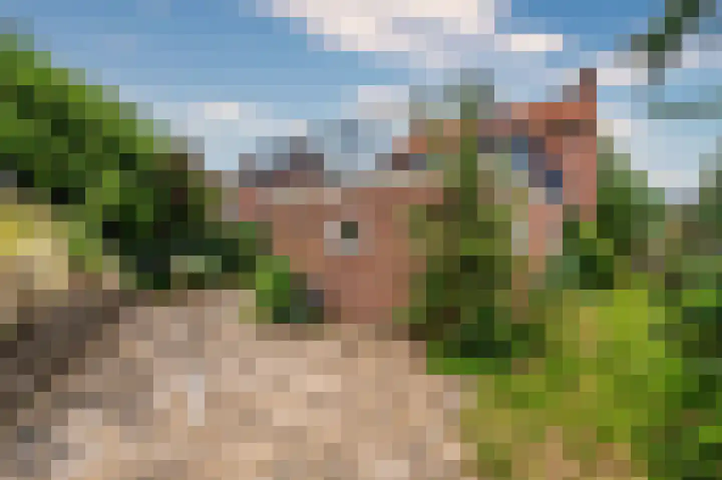 Kloosterstraat 29 Grubbenvorst thumbnail 38