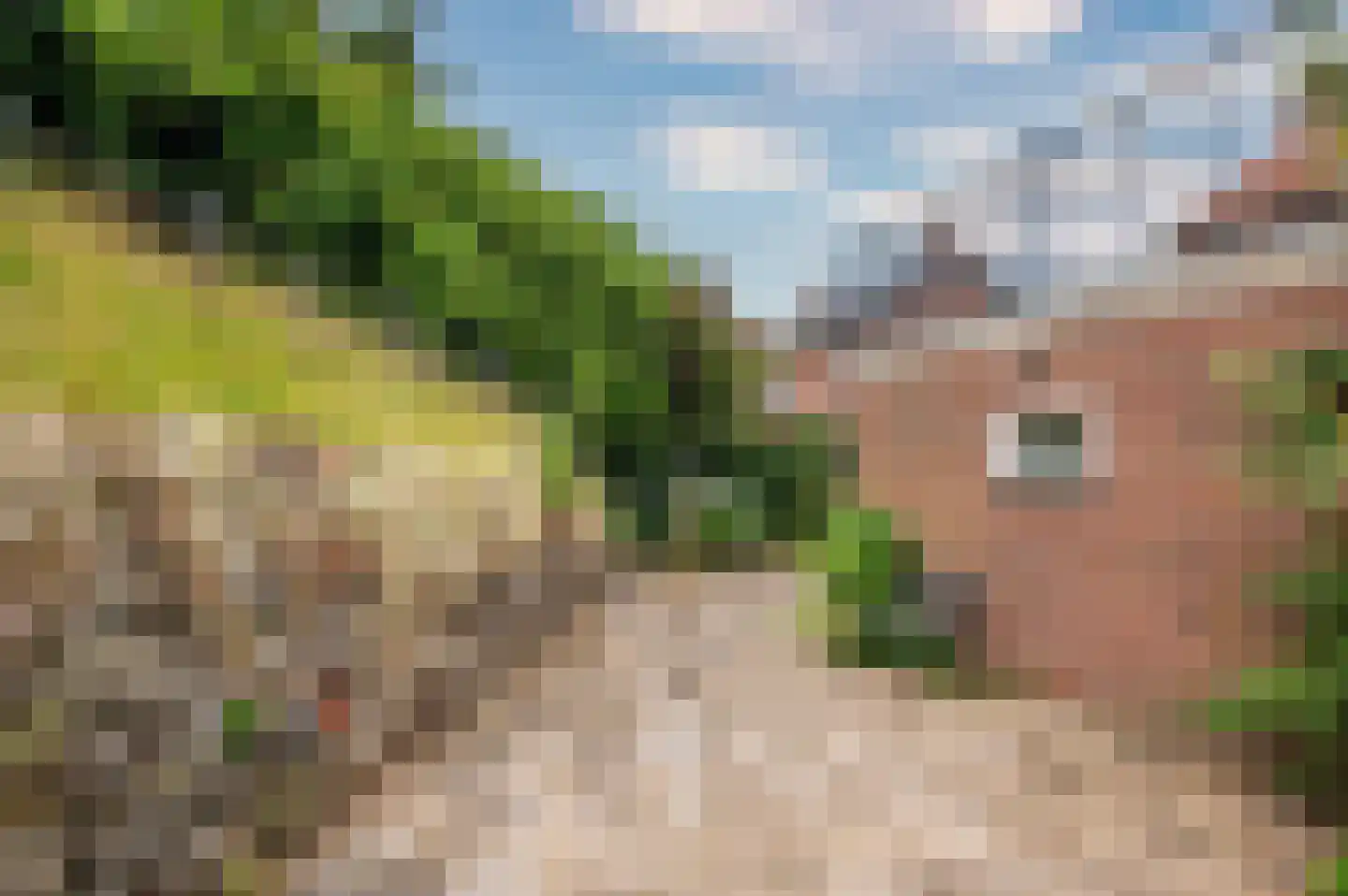Kloosterstraat 29 Grubbenvorst thumbnail 39