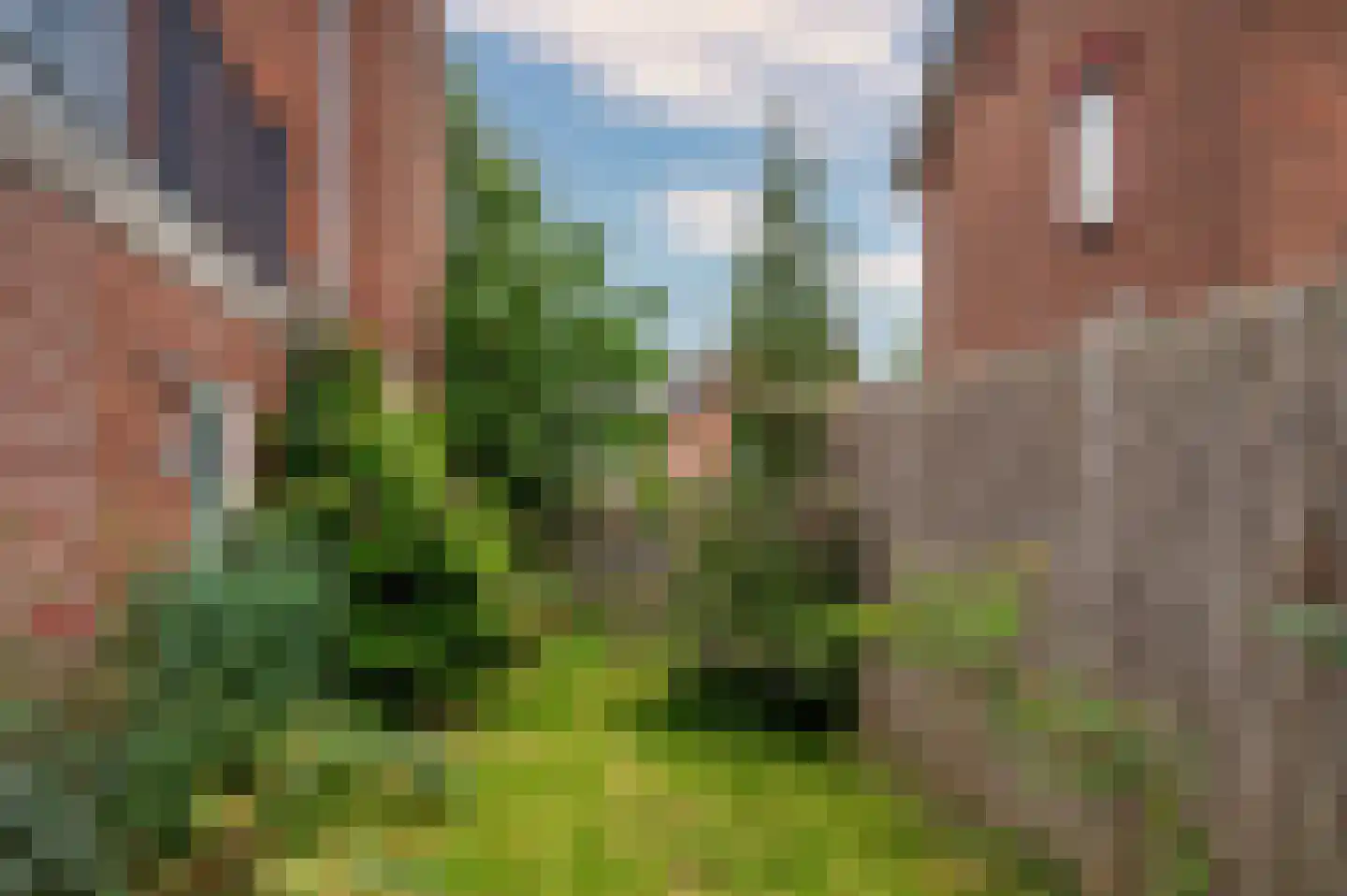Kloosterstraat 29 Grubbenvorst thumbnail 40