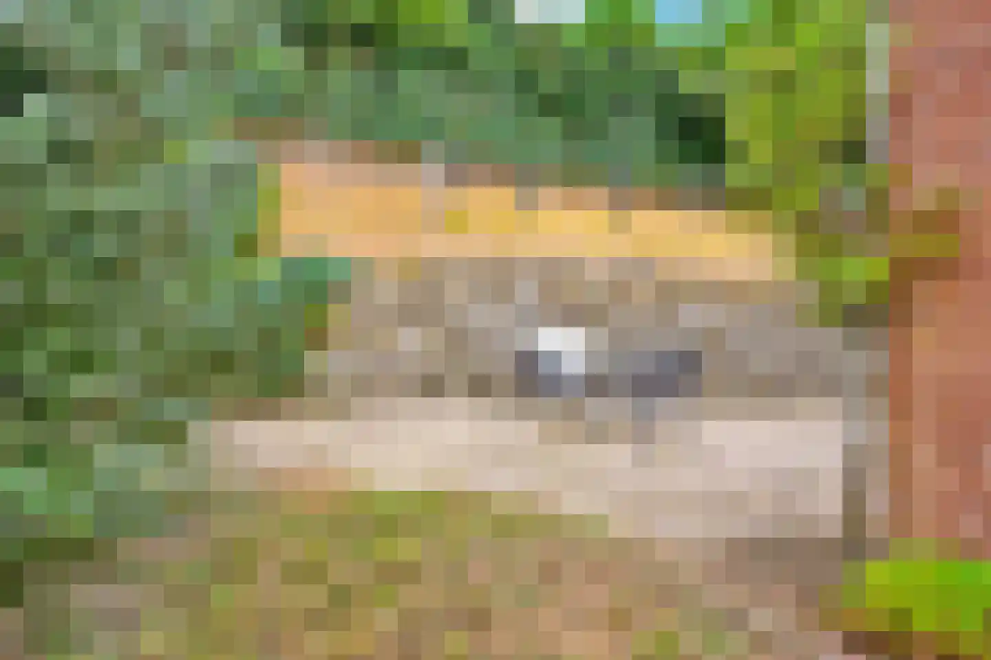 Kloosterstraat 29 Grubbenvorst thumbnail 41