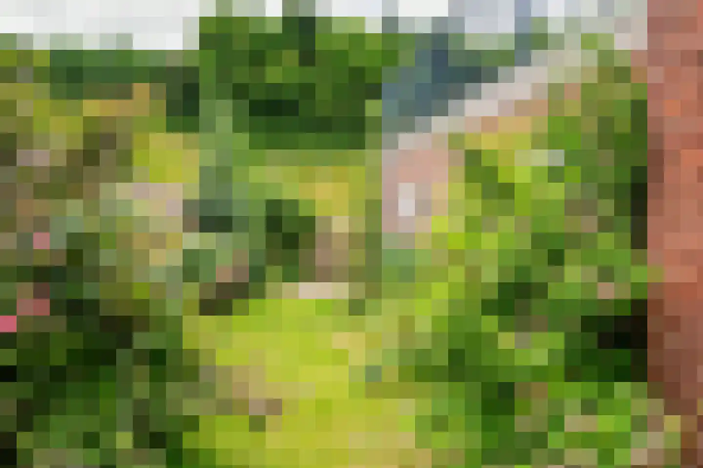 Kloosterstraat 29 Grubbenvorst thumbnail 41
