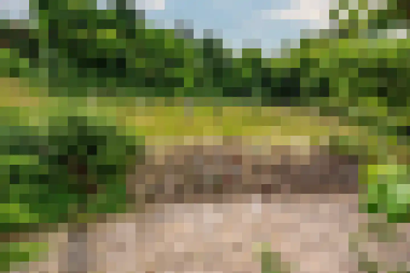 Kloosterstraat 29 Grubbenvorst thumbnail 42