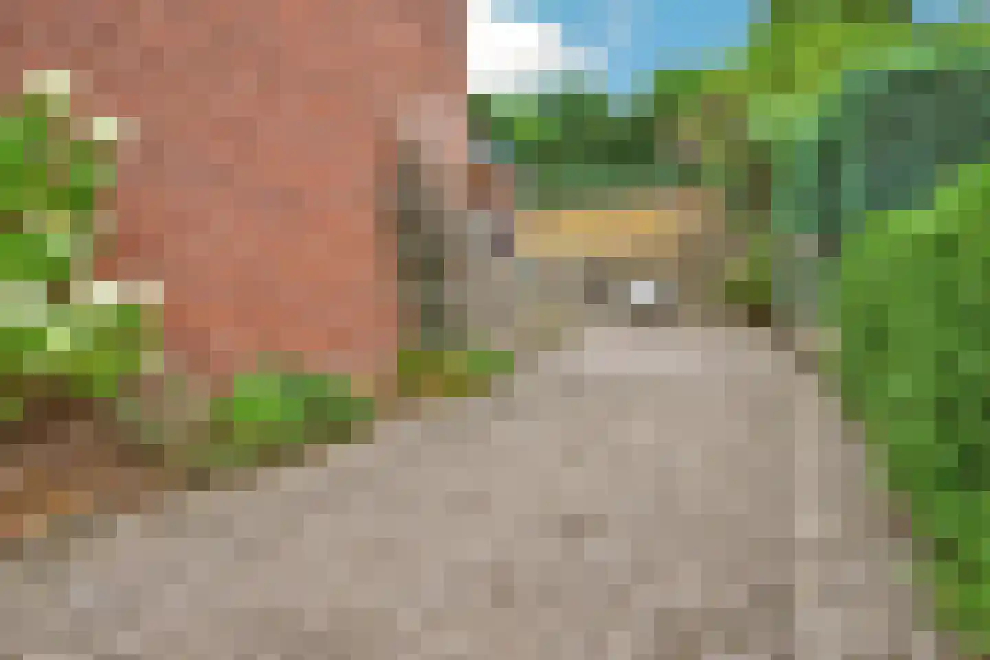 Kloosterstraat 29 Grubbenvorst thumbnail 44