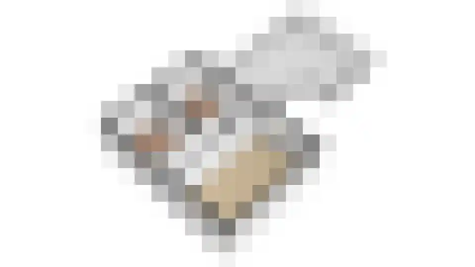 Kloosterstraat 29 Grubbenvorst thumbnail 51