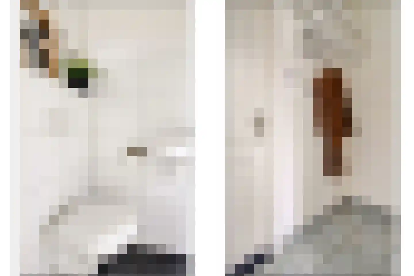 Kloosterstraat 29 Grubbenvorst thumbnail 6