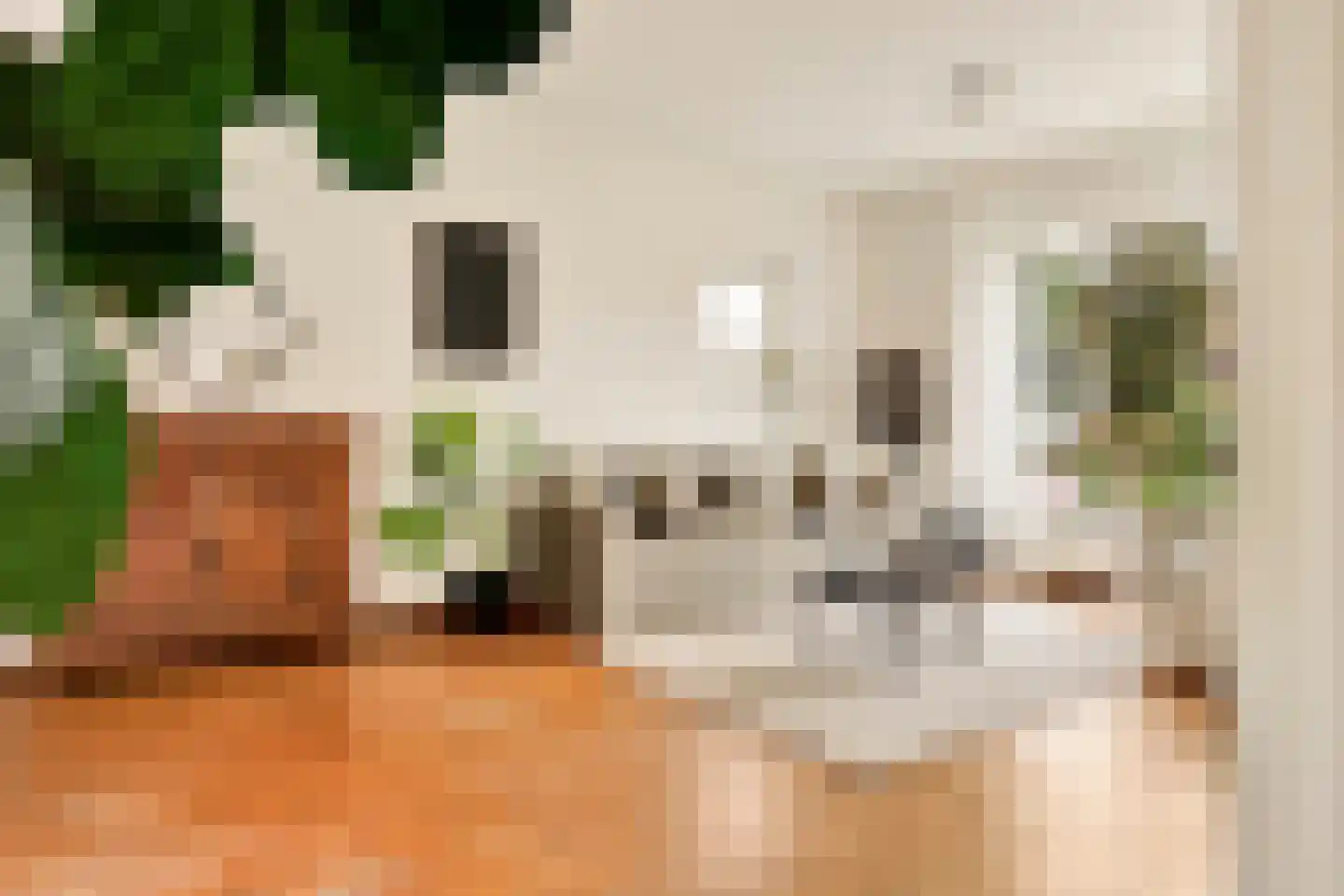 Kloosterstraat 29 Grubbenvorst thumbnail 8