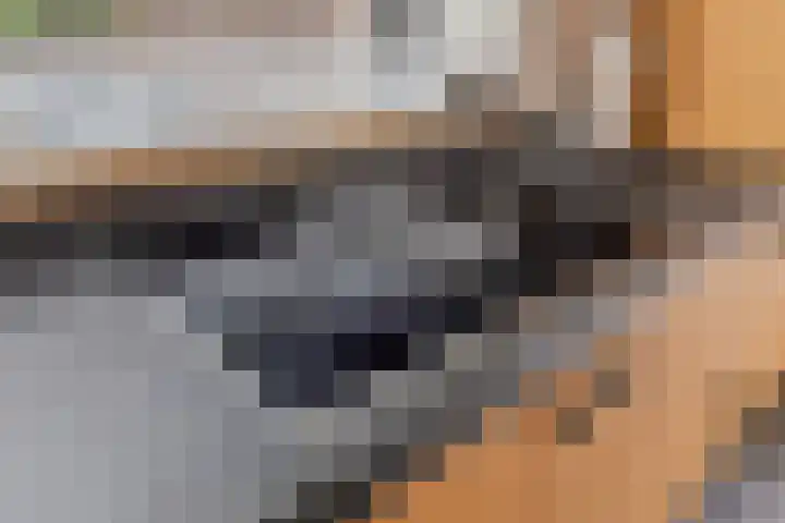 Kloosterstraat 3 A Made thumbnail 22