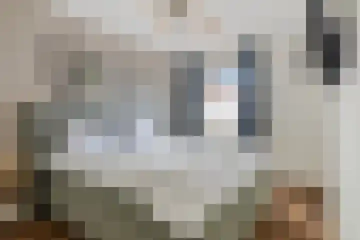 Kloosterstraat 3 A Made thumbnail 26