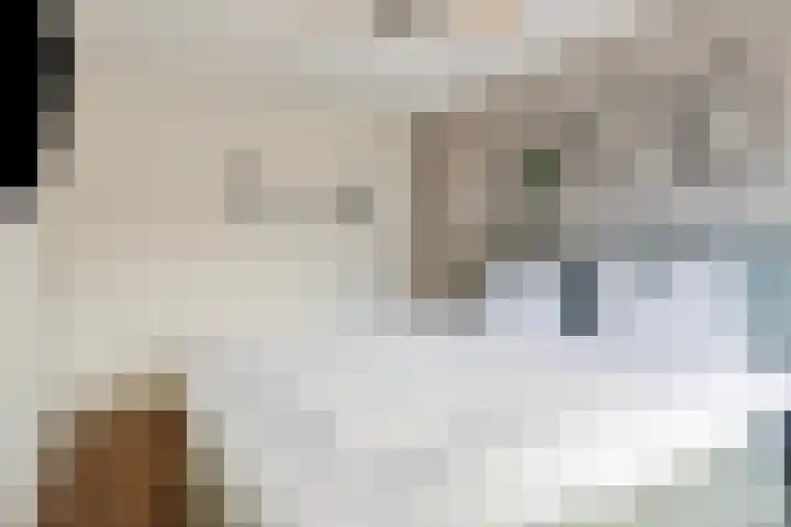 Kloosterstraat 3 A Made thumbnail 28
