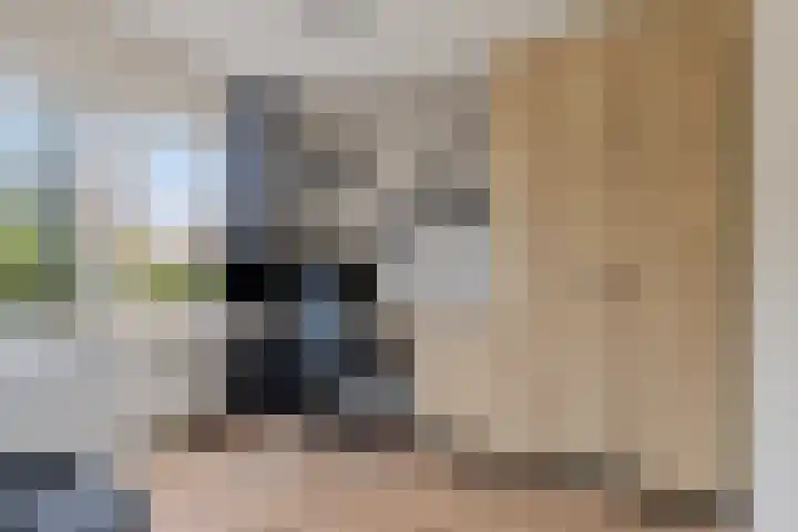 Kloosterstraat 3 A Made thumbnail 29