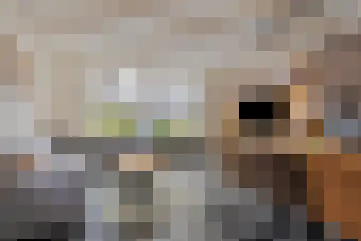 Kloosterstraat 3 A Made thumbnail 7