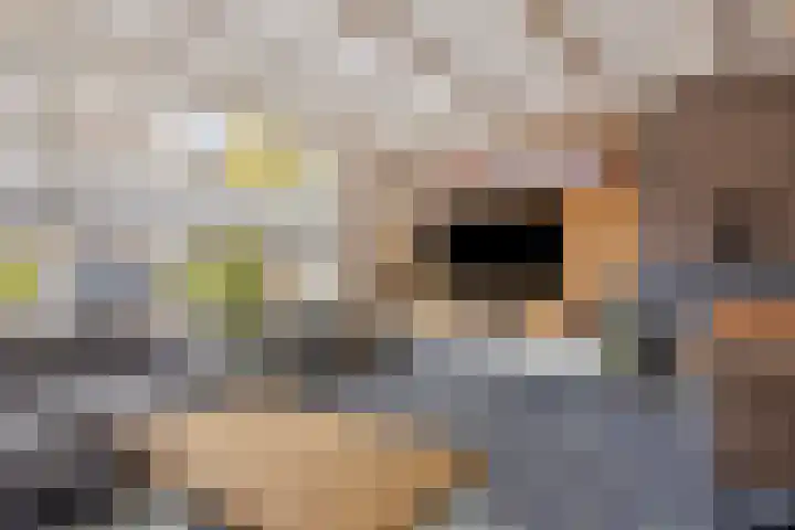 Kloosterstraat 3 A Made thumbnail 9