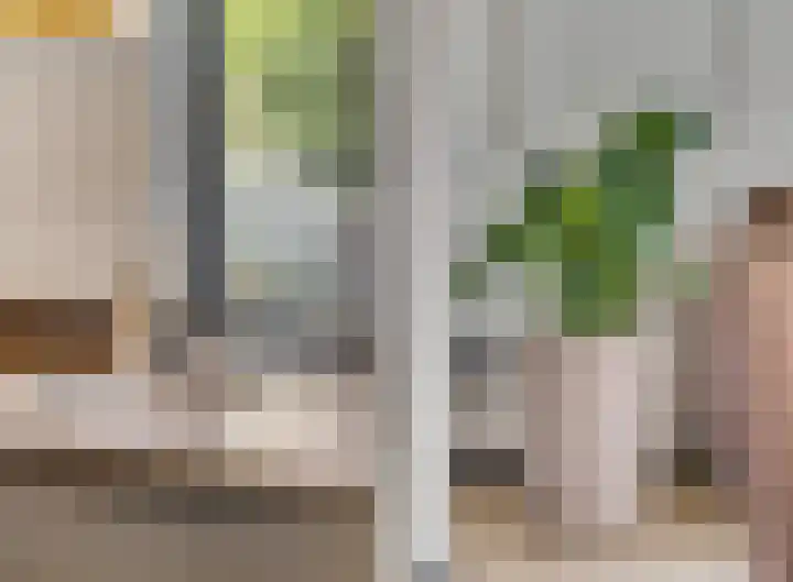 Kloosterstraat 3 Gendt thumbnail 13