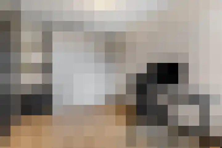 Kloosterstraat 3 Gendt thumbnail 18