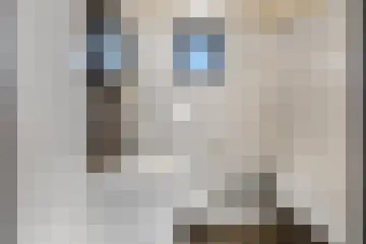 Kloosterstraat 3 Gendt thumbnail 22