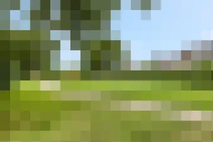Kloosterstraat 3 Gendt thumbnail 40