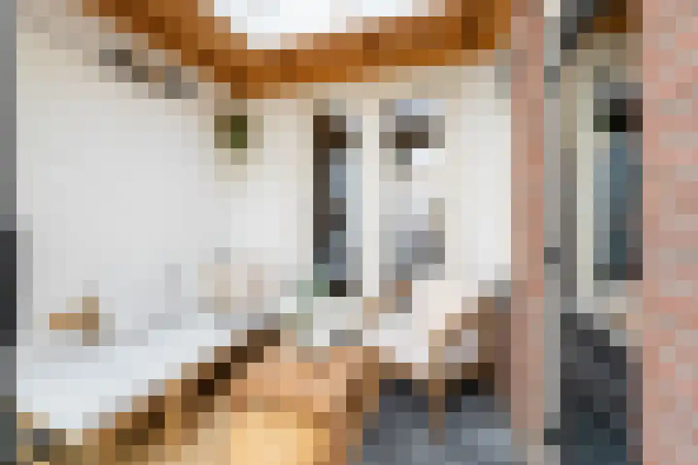 Kloosterstraat 3 Kampen thumbnail 23