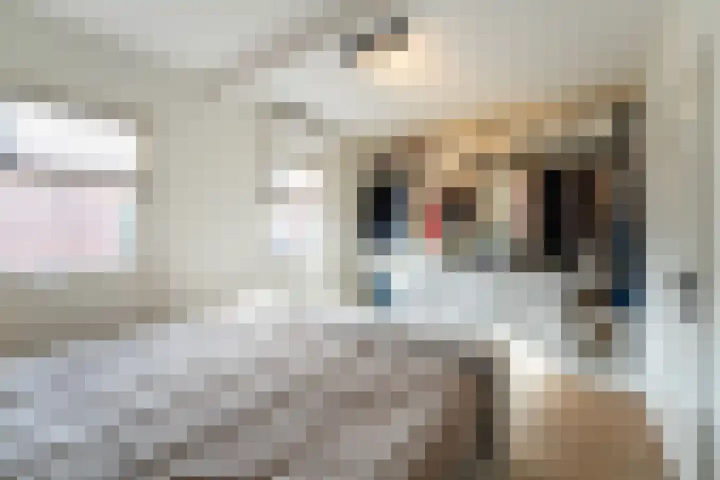 Kloosterstraat 3 Kampen thumbnail 30