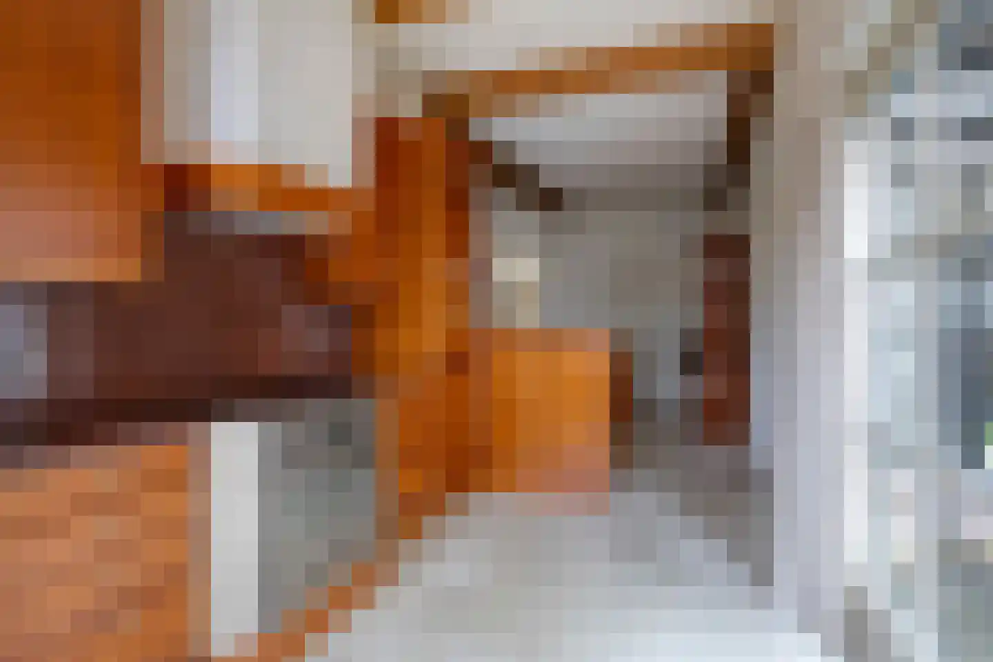 Kloosterstraat 3 Ootmarsum thumbnail 11