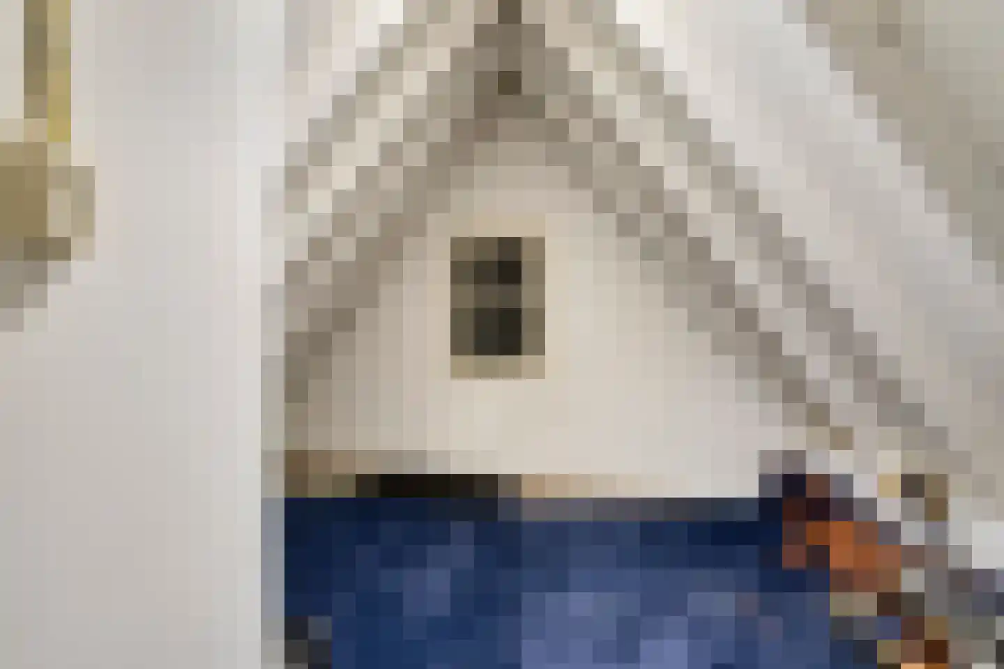 Kloosterstraat 3 Ootmarsum thumbnail 30