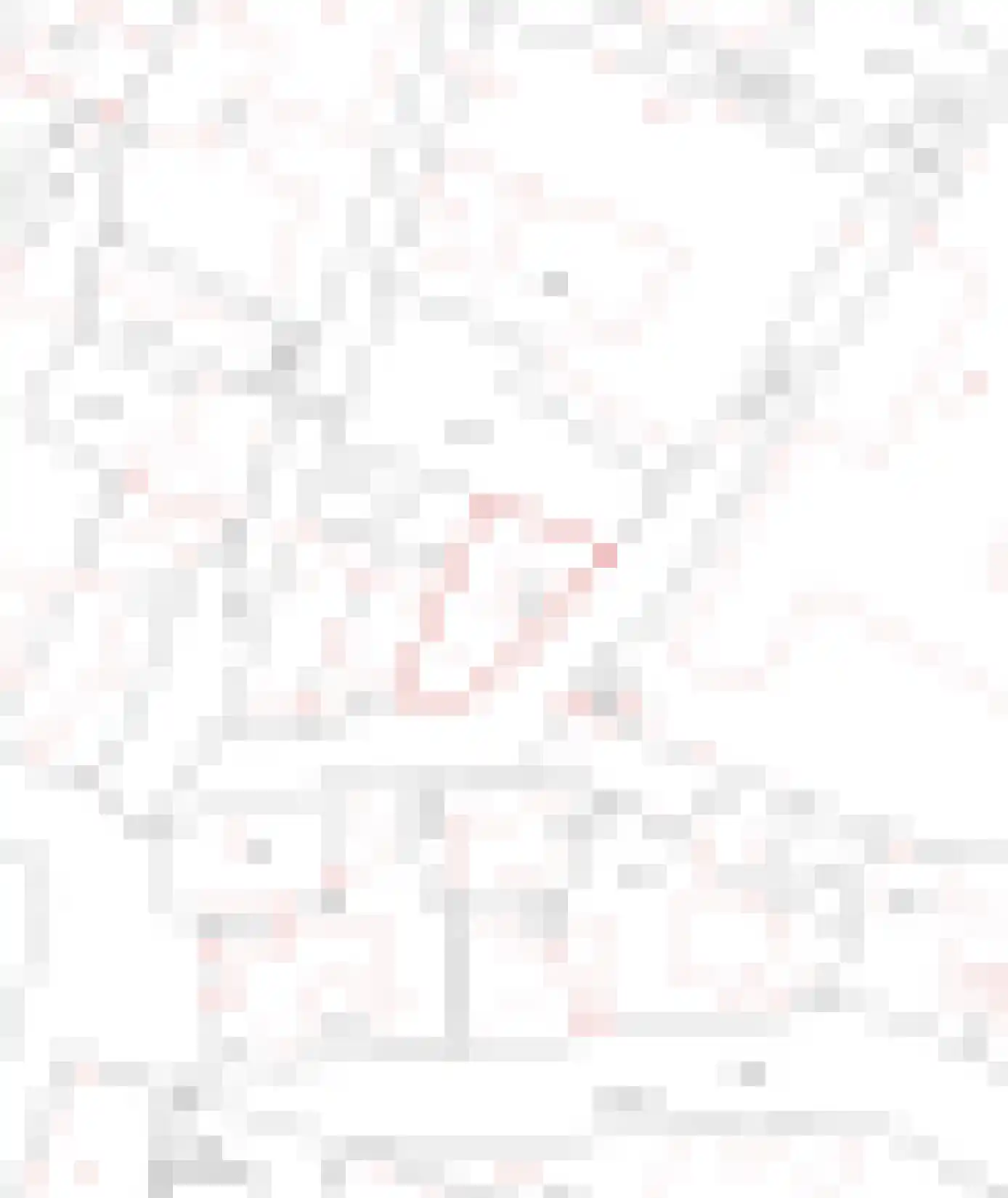 Kloosterstraat 3 Ootmarsum thumbnail 52