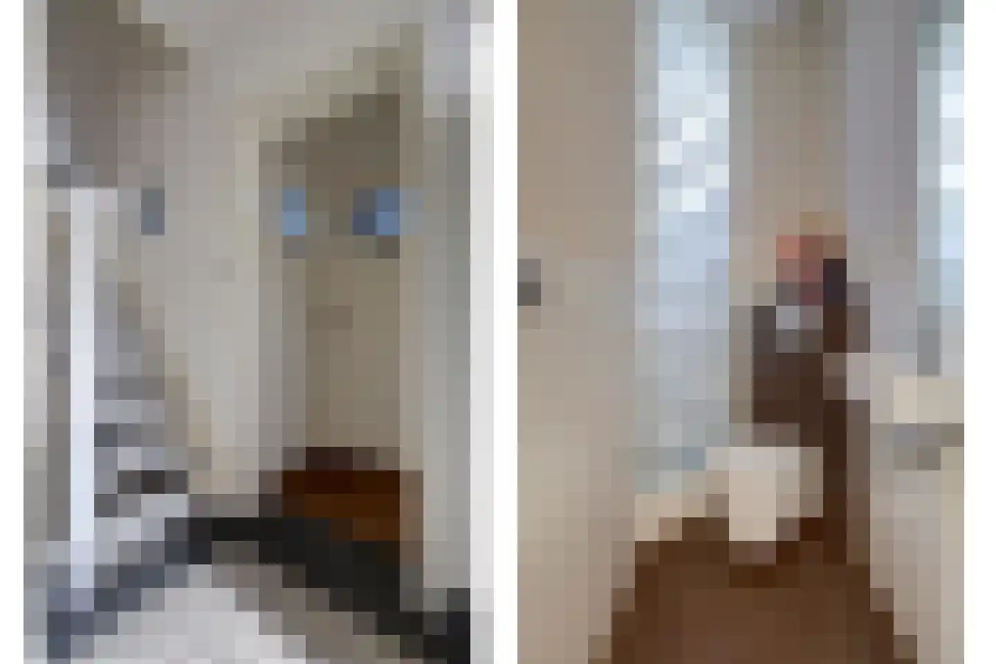 Kloosterstraat 3 Susteren thumbnail 8