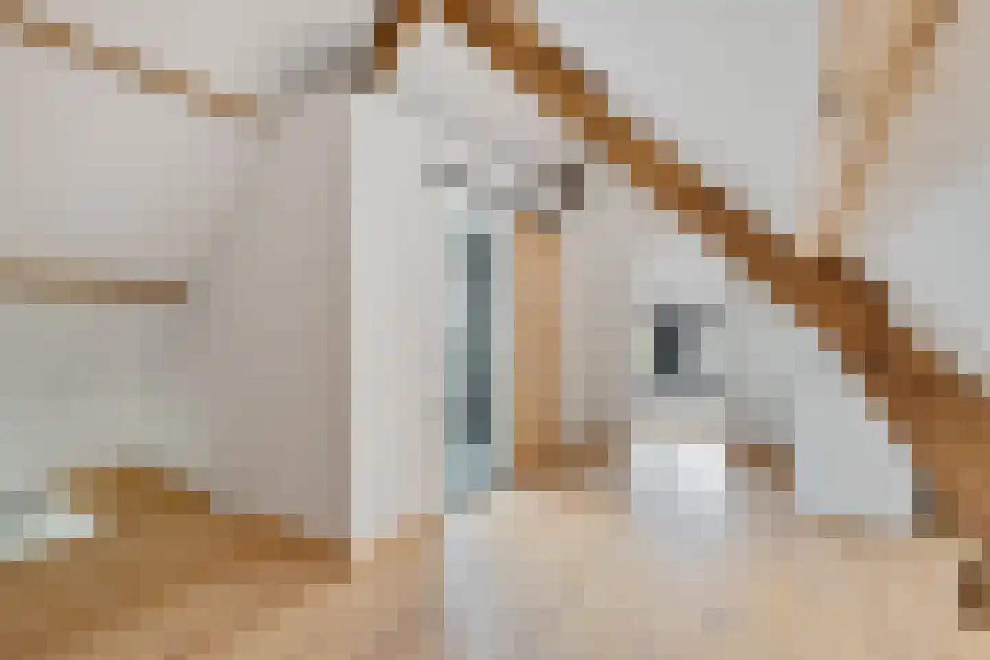 Kloosterstraat 30 Bavel thumbnail 25