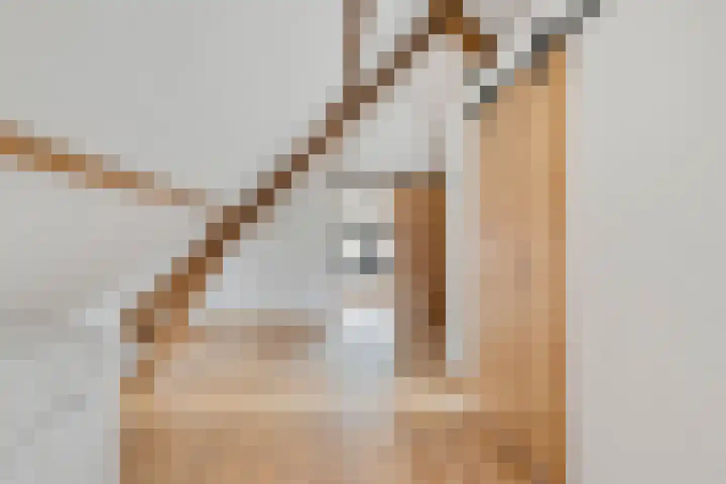 Kloosterstraat 30 Bavel thumbnail 26