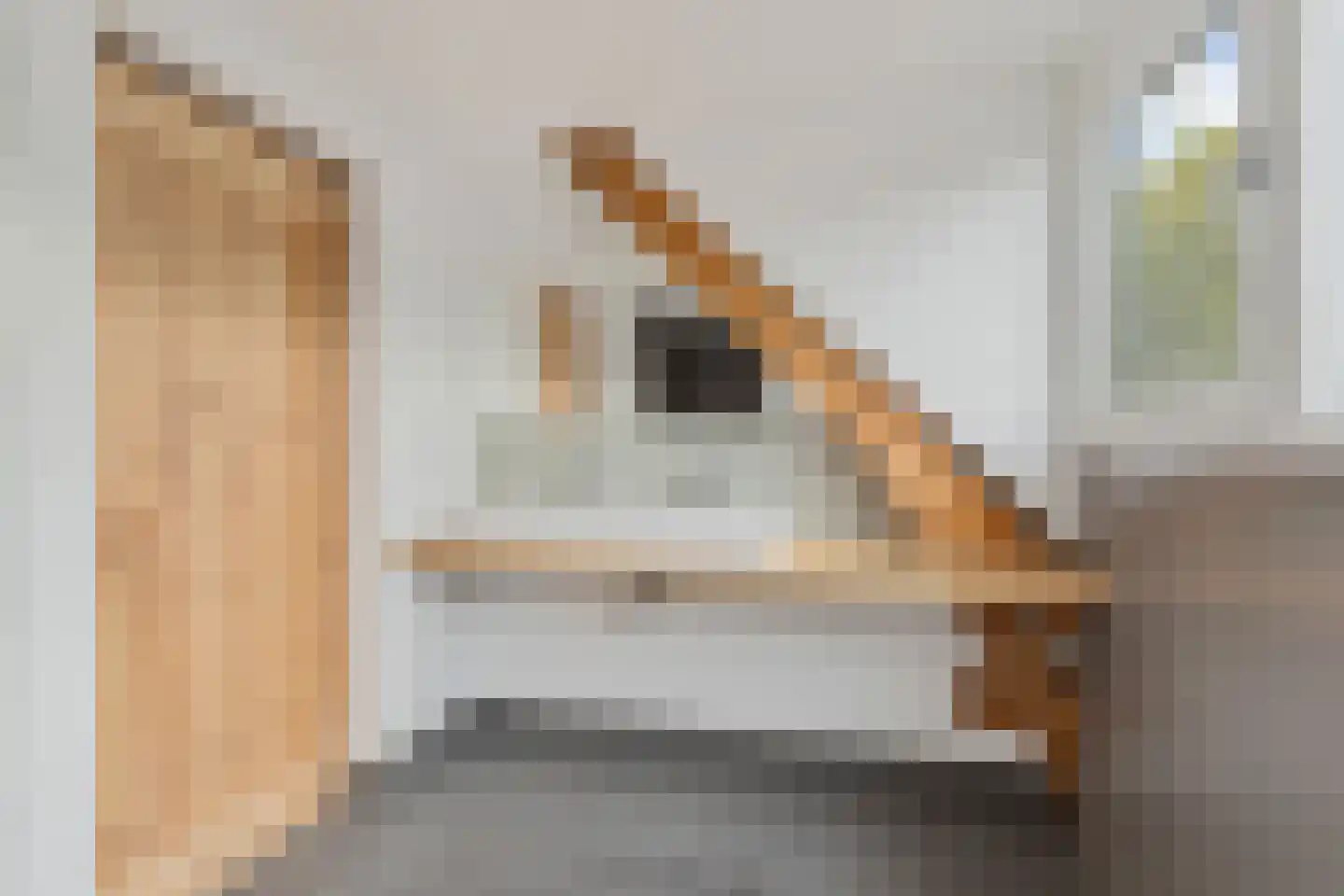 Kloosterstraat 30 Bavel thumbnail 33