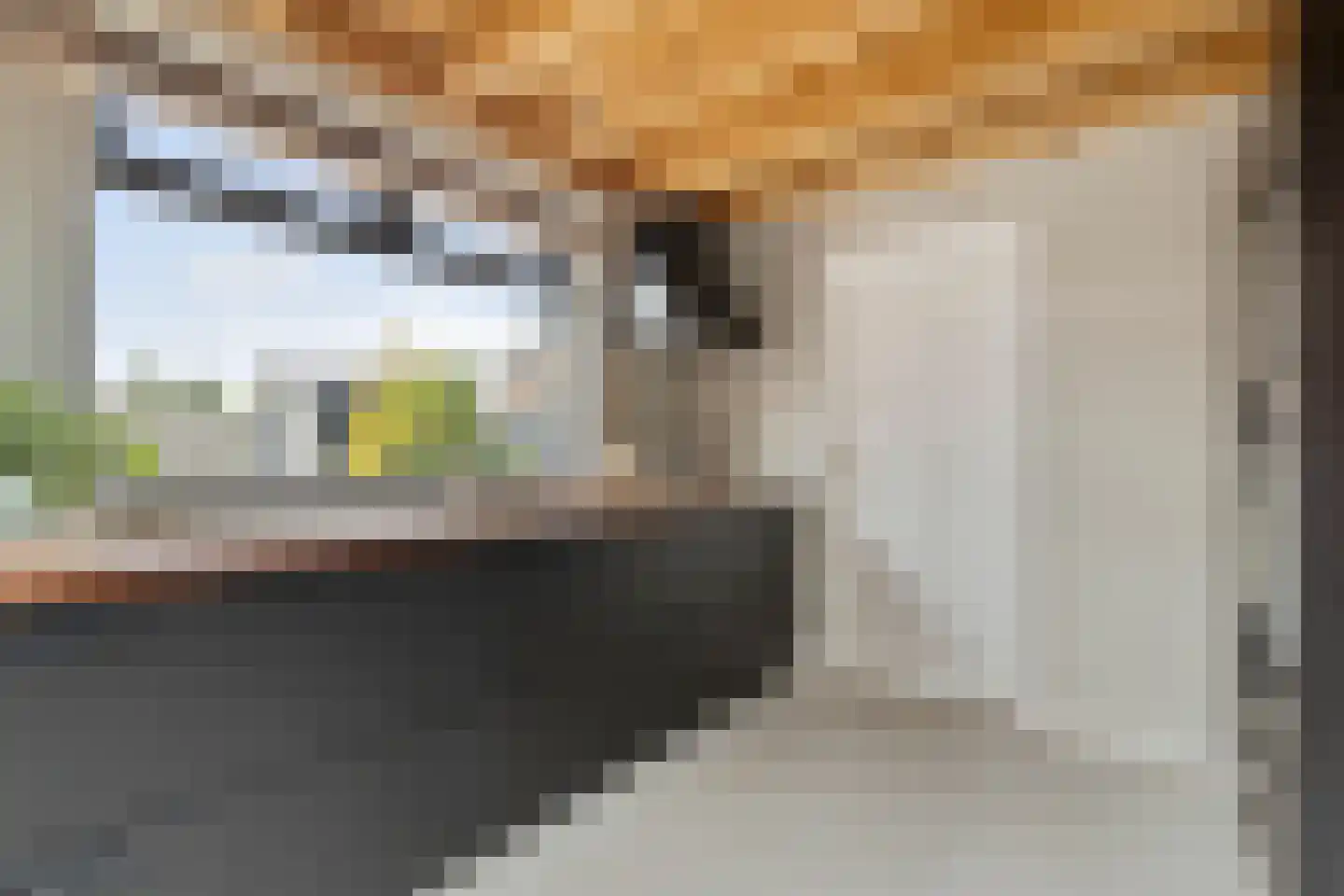 Kloosterstraat 30 Bavel thumbnail 4
